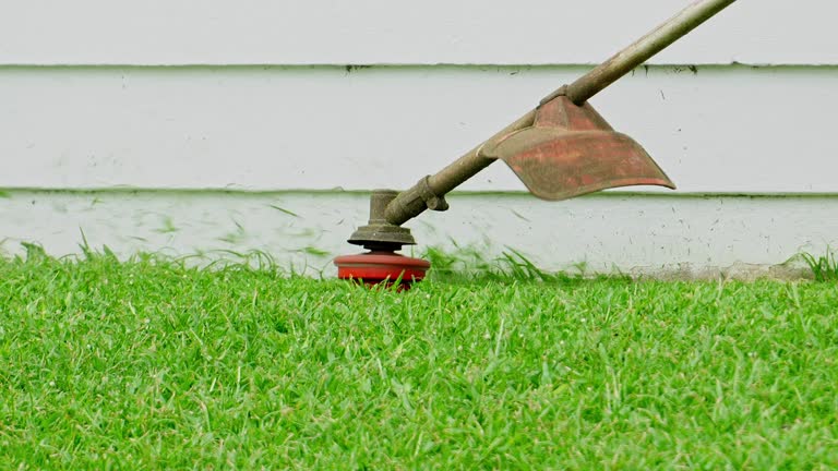 How Our Tree Care Process Works  in  Orfordville, WI
